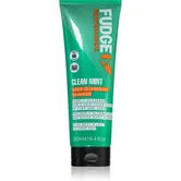 Fudge Clean Mint Shampoo șampon pentru păr gras 250 ml