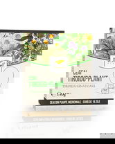 Ceai Tiroido-plant tiroida sanatoasa, 150g, Dorel Plant