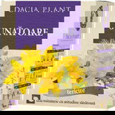 Ceai de sunatoare, 50g, Dacia Plant