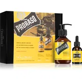 Proraso Set Beard Original set cadou pentru barbă pentru bărbați Wood and Spice