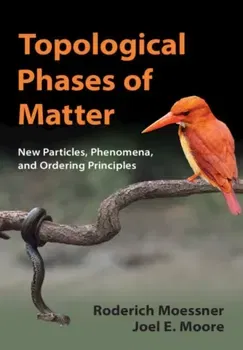 Topological Phases of Matter, Hardback - Joel E. Moore