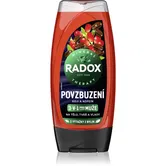 Radox Men Invigorating Gel de duș pentru bărbați 3 in 1 225 ml