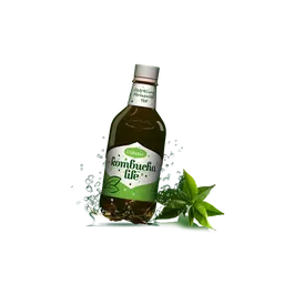 KOMBUCHA LIFE Clasic 500ml