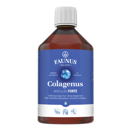 Colagen hidrolizat pentru articulatii Colagenus Articulatii Forte, 500ml, Faunus Plant