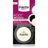 Schwarzkopf Palette Compact Root Retouch corector pentru acoperirea firelor carunte de par cu efect de pulbere culoare Black 3 g